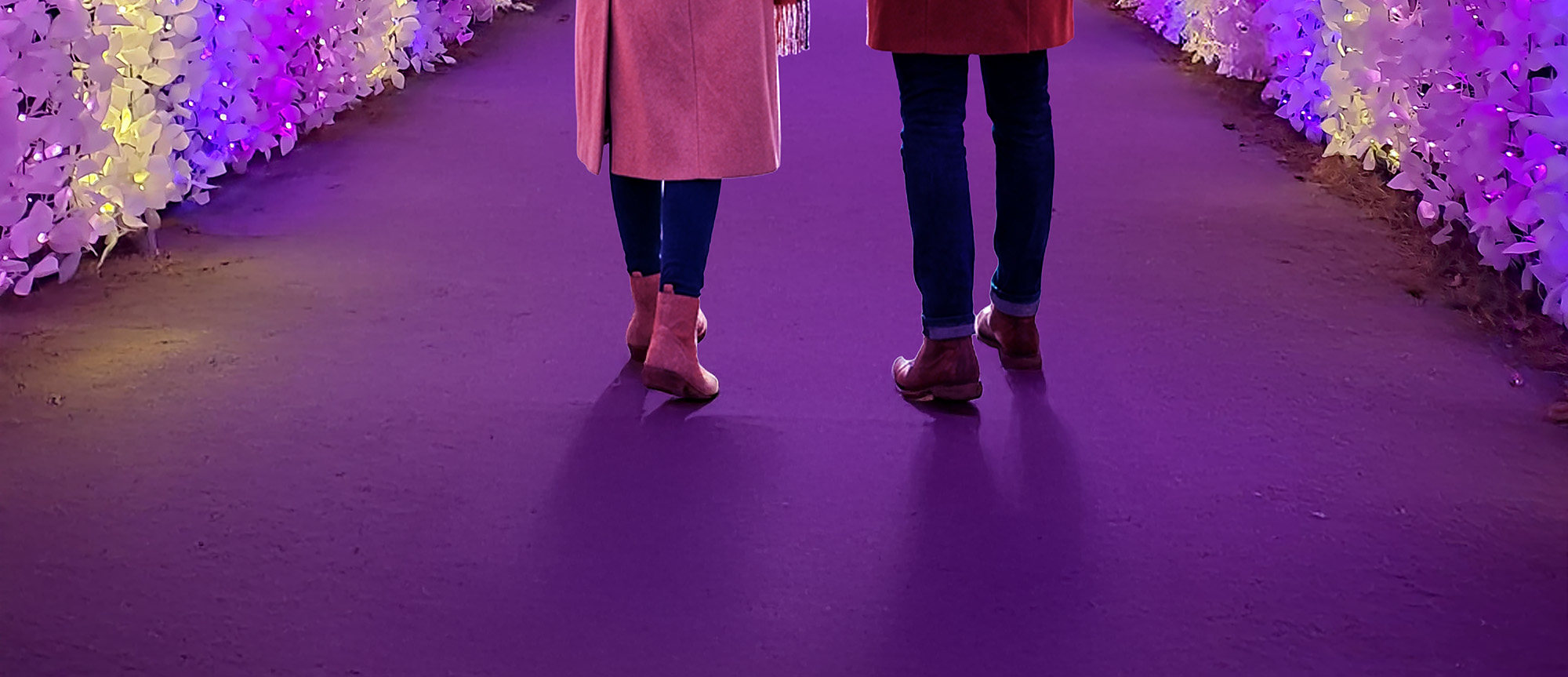 冬季晨靜樹木園🎇