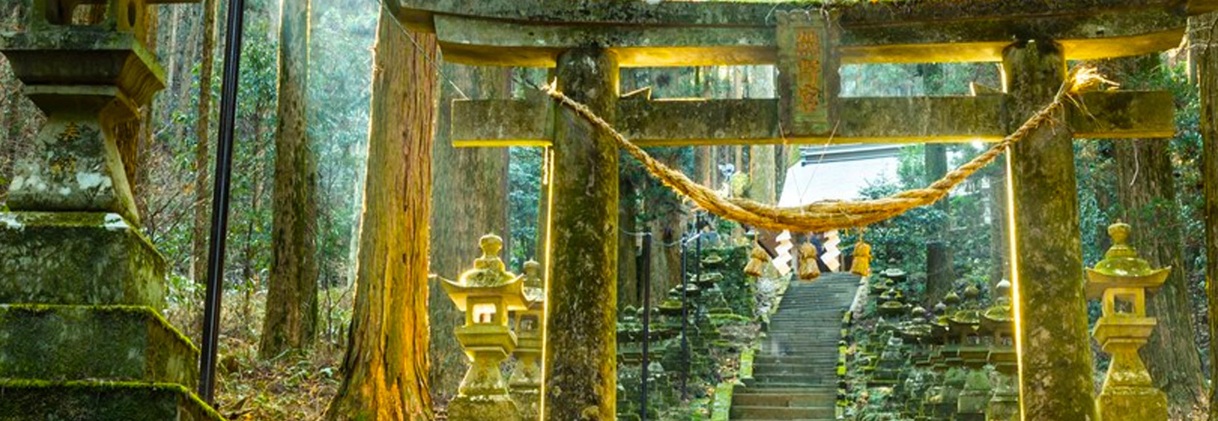 🏮 上色見熊野座神社|《螢火之森》秘境
《螢火之森》取景地,被譽為✨「異世界的門戶」。供奉創世諸神,260級石階配97座青苔石燈籠🏮,穿戶巖🪨可祈願,竹柏樹🌿寄良緣,距高森站10分鐘車程。 🏮 上色見熊野座神社|《螢火之森》秘境
《螢火之森》取景地,被譽為✨「異世界的門戶」。供奉創世諸神,260級石階配97座青苔石燈籠🏮,穿戶巖🪨可祈願,竹柏樹🌿寄良緣,距高森站10分鐘車程。