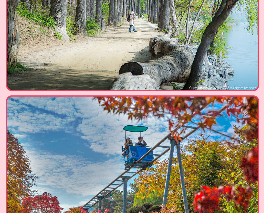 在韓劇《冬季戀歌》中出現的南怡島,擁有優美的風景和寧靜的氛圍。這裡是自然愛好者和韓劇迷放鬆和探索的理想場所。 在韓劇《冬季戀歌》中出現的南怡島,擁有優美的風景和寧靜的氛圍。這裡是自然愛好者和韓劇迷放鬆和探索的理想場所。