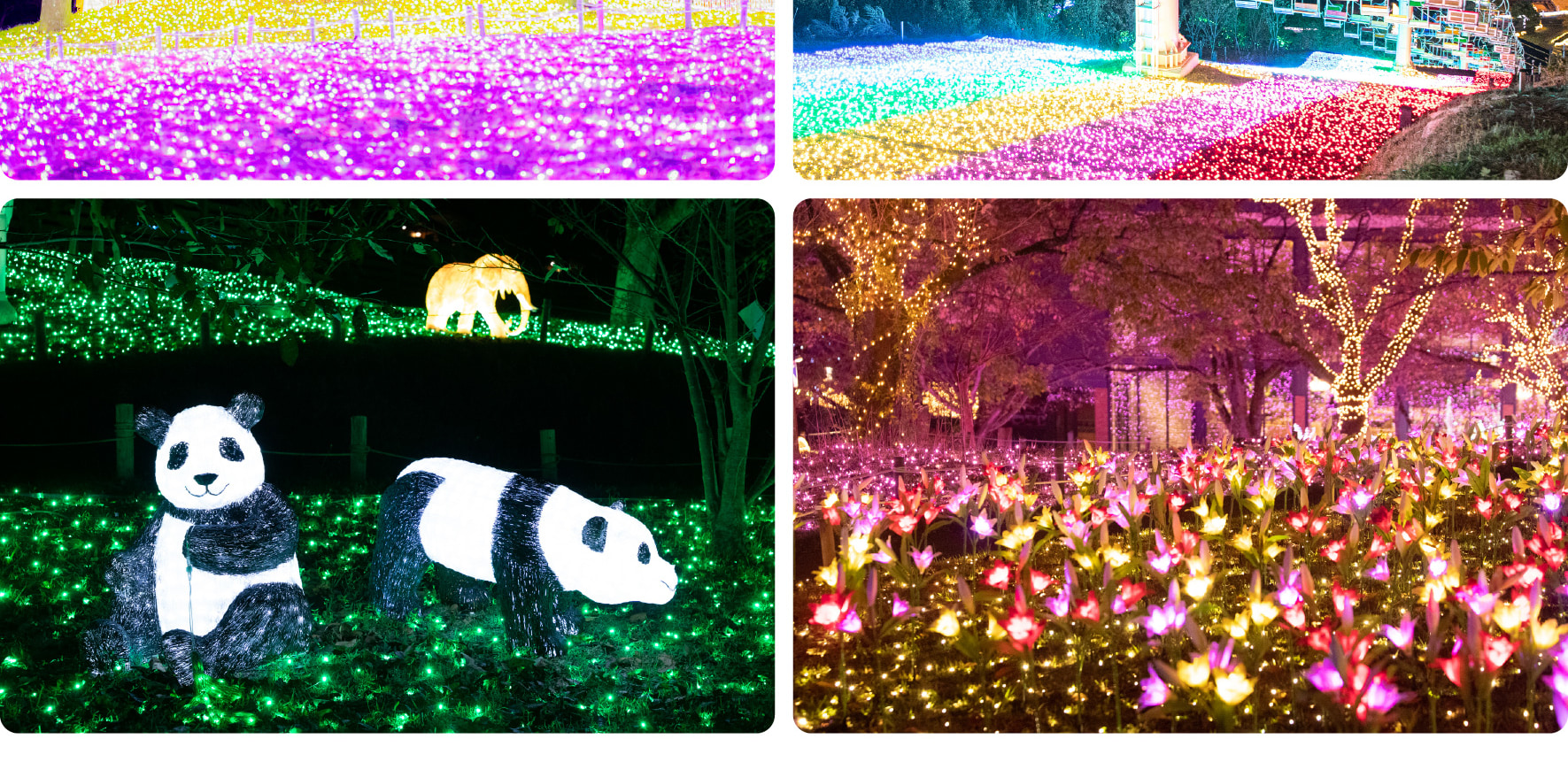 夜幕降臨,旅程在嵯峨湖彩燈節(Sagamiko Illumillion)繼續,這是一個由數百萬盞燈光點亮的璀璨冬季盛景。您可以乘坐彩虹纜車(Rainbow Lift)飛越燈火輝煌的公園,體驗沉浸式的魔幻波浪(Magical Wave),以及迷人的拓麻歌子星空腳踏車(Tamagotchi Hoshizora Pedal),當您
夜幕降臨,旅程在嵯峨湖彩燈節(Sagamiko Illumillion)繼續,這是一個由數百萬盞燈光點亮的璀璨冬季盛景。您可以乘坐彩虹纜車(Rainbow Lift)飛越燈火輝煌的公園,體驗沉浸式的魔幻波浪(Magical Wave),以及迷人的拓麻歌子星空腳踏車(Tamagotchi Hoshizora Pedal),當您