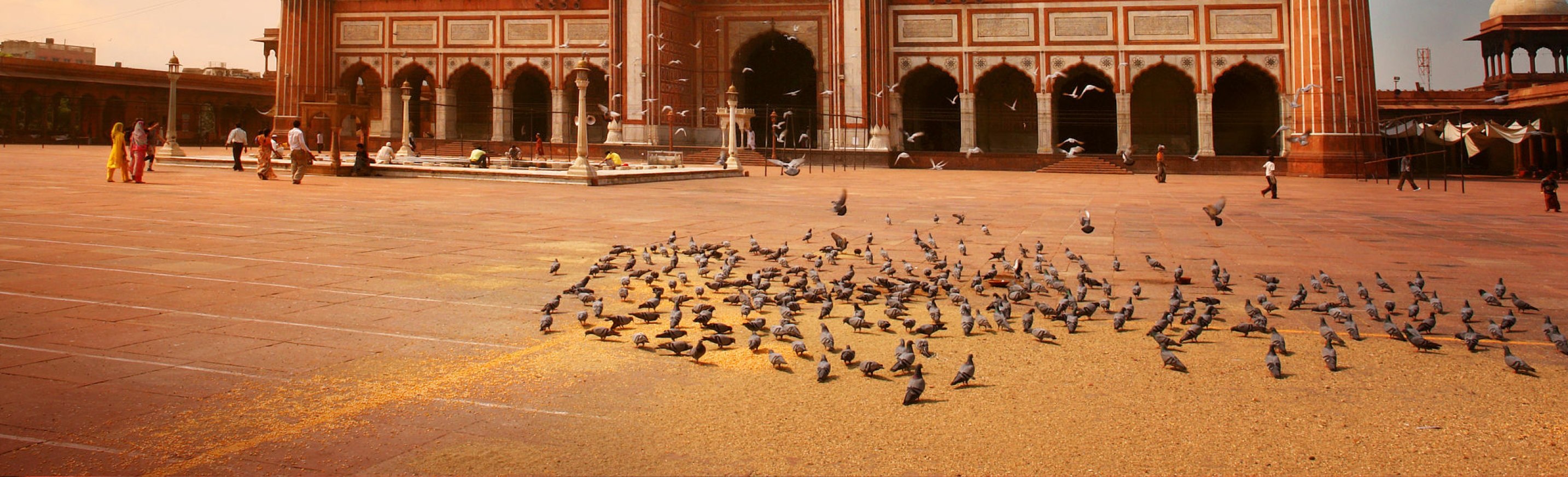 6 Days Golden Triangle Private Tour with Ranthambore