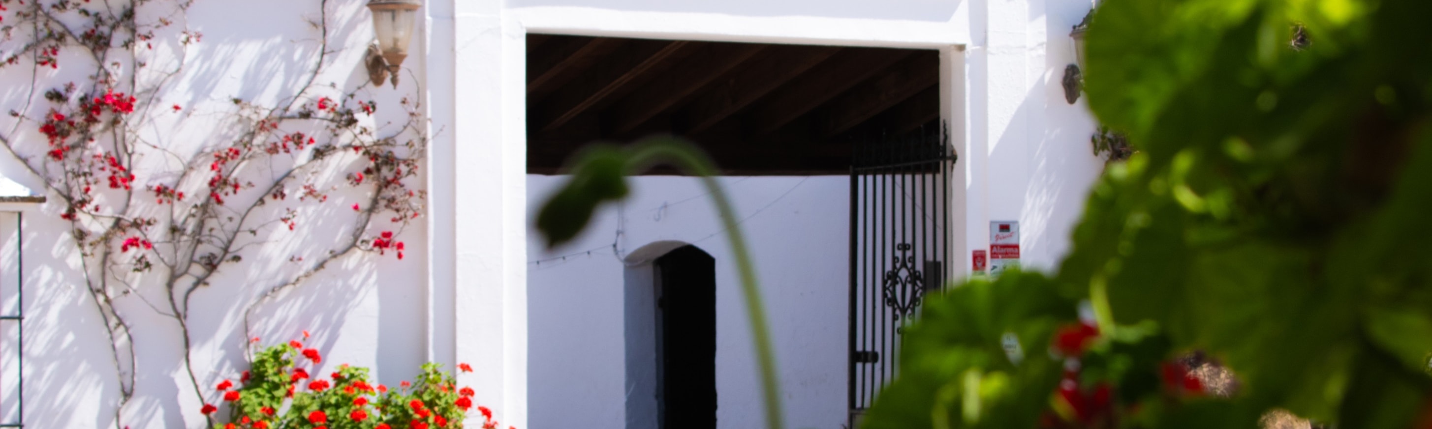 Seville El Callejón Private Olive Oil Mill 2-Hour Tour - Thumbnail 21