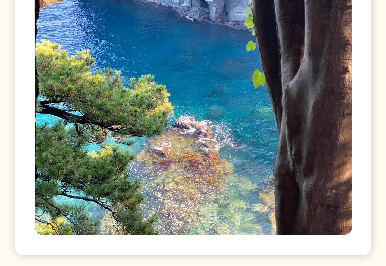 這裡是伊豆最美的火山海岸秘境!4000年前火山噴發形成的熔岩海岸,48米高的門楣吊橋橫跨峭壁之上,站在橋上可感受驚濤拍岸的震撼。沿著9公里的城崎自然研究路漫步,還能欣賞到形態各異的火山熔岩地貌。 這裡是伊豆最美的火山海岸秘境!4000年前火山噴發形成的熔岩海岸,48米高的門楣吊橋橫跨峭壁之上,站在橋上可感受驚濤拍岸的震撼。沿著9公里的城崎自然研究路漫步,還能欣賞到形態各異的火山熔岩地貌。