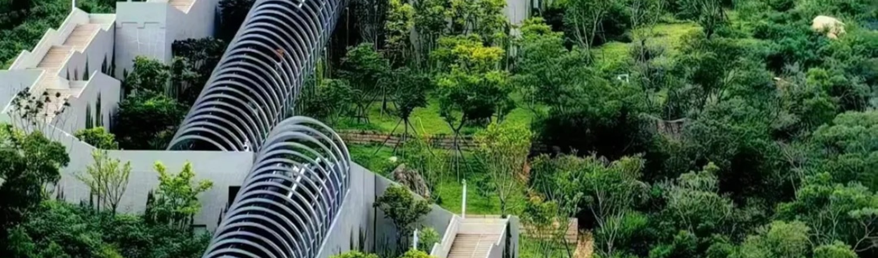 福建廈門高端2日遊（暢遊絕美鼓浪嶼+南普陀寺+植物園+邂逅廈門大學+感受華僑領袖陳嘉庚精神+贈送精緻下午茶+可選星鑽住宿+廈門往返）