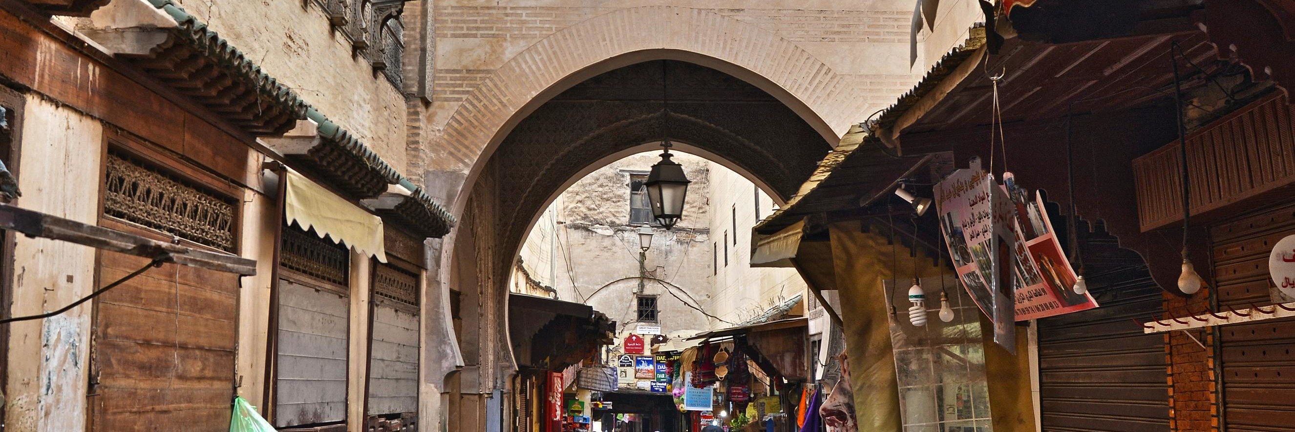 Fez: Royal Palace, Museum, Tannery & Old Souks Medina Tour