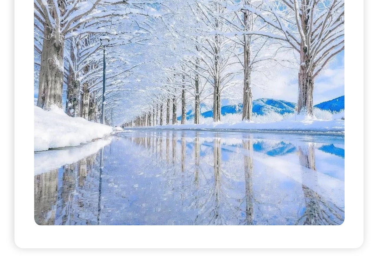 徒步水杉大道，這條被冰雪覆蓋的2.4公里林蔭大道，兩側500株水杉樹營造出浪漫神秘的氛圍，早在1994年就被選為"日本街路樹百景"之一。漫步其中，遠眺野坡山地，感受冬日獨有的靜謐與壯美