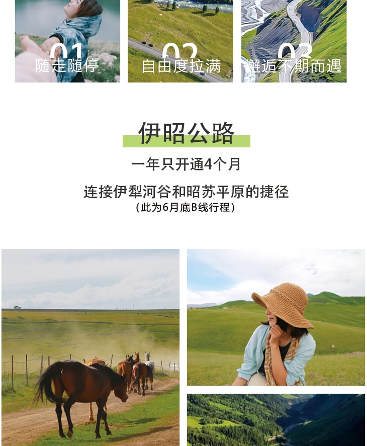 新疆伊犁縱貫天山獨庫版8日(高配置坦克300+旅拍攝影+賽里木湖+夏塔冰川+恰西森林+那拉提草原+古牧道秘境)