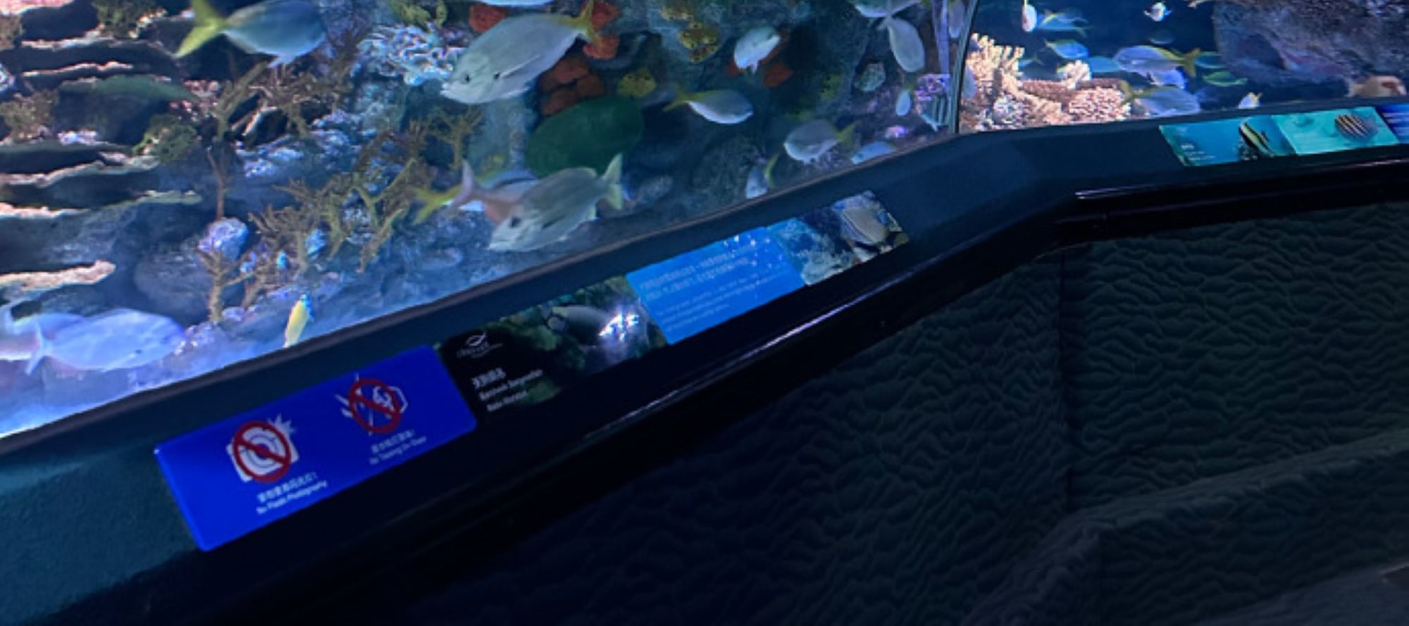 上海樂遊之旅3日遊（門票全含+東方明珠&海洋水族館&金茂大廈雲中漫步+船遊浦江夜景+俯瞰上海全景+外灘建築博覽群+全球首家可口可樂餐廳）
