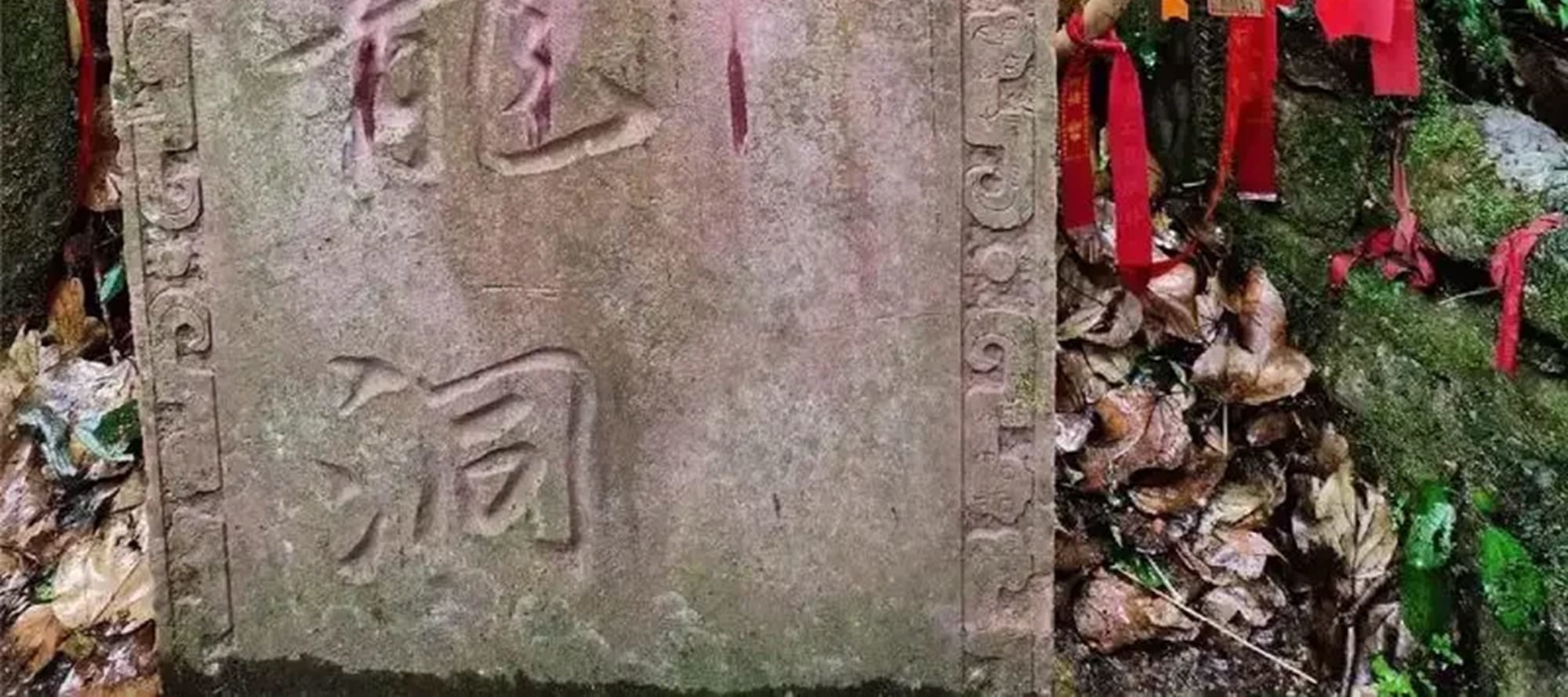 四川峨眉山全景純玩一日遊（峨眉天下秀+梵天淨土 +雲上金頂+天下峨眉+雲霧繚繞+宛若仙境+“四大佛教名山”之一+“人間聖光”+成都往返）