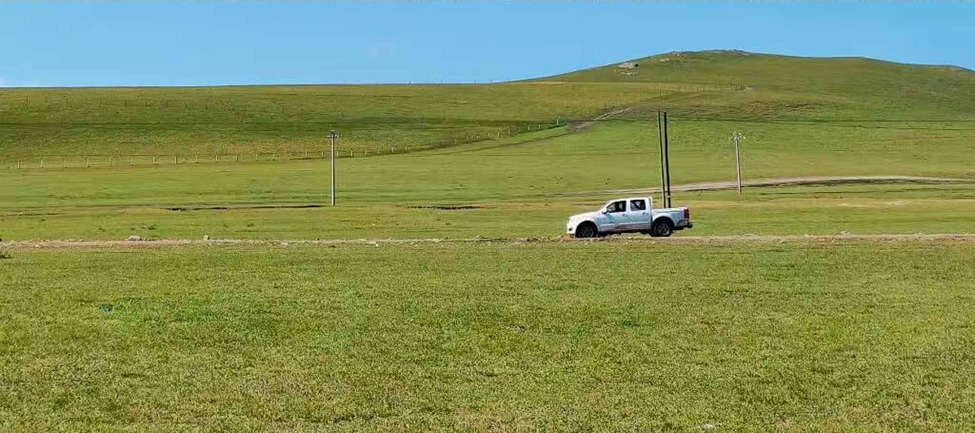The grassland unfolds like a scroll, with graceful horses and vehicles traversing the green fields. Come and encounter this dynamic and expansive grassland scenery.