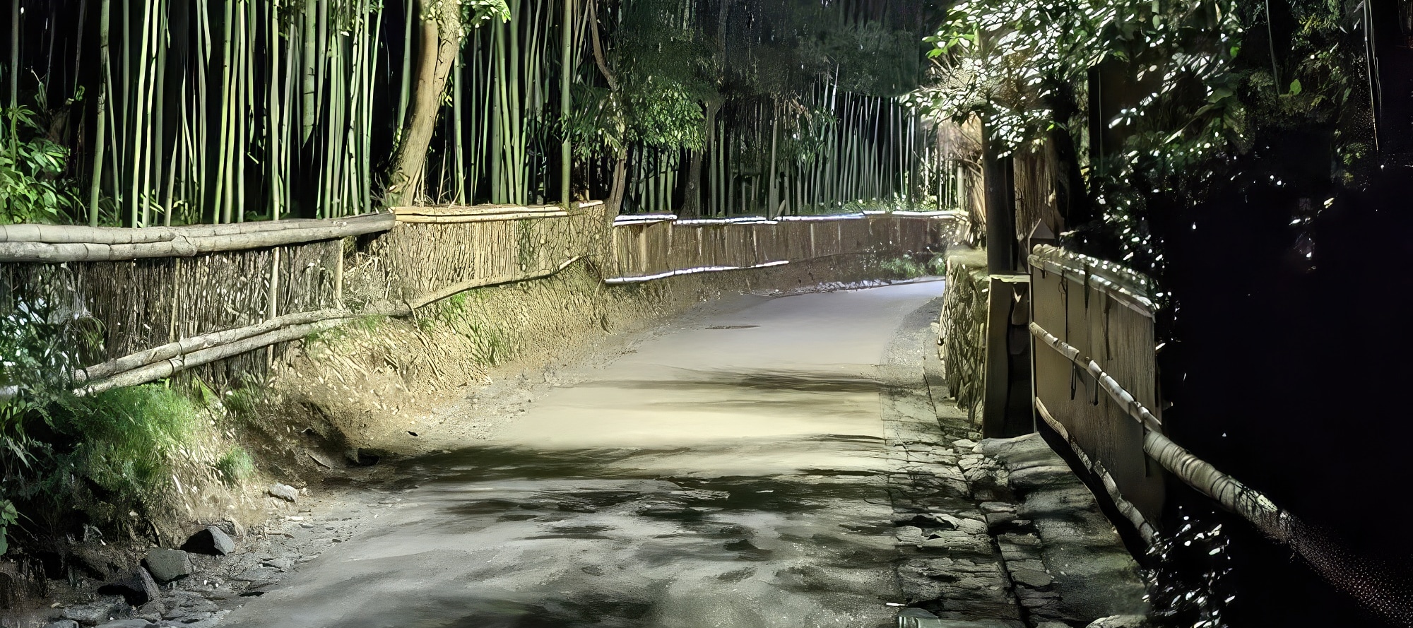 京都市嵐山幽靈狩獵夜遊