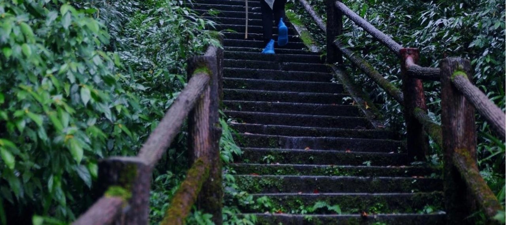 Walk through the mountains of Emei Mountain, walk on the bluestone to explore the ancient temple, listen to the sound of springs and birds, and encounter the poetry and Zen of the mountains during your hike