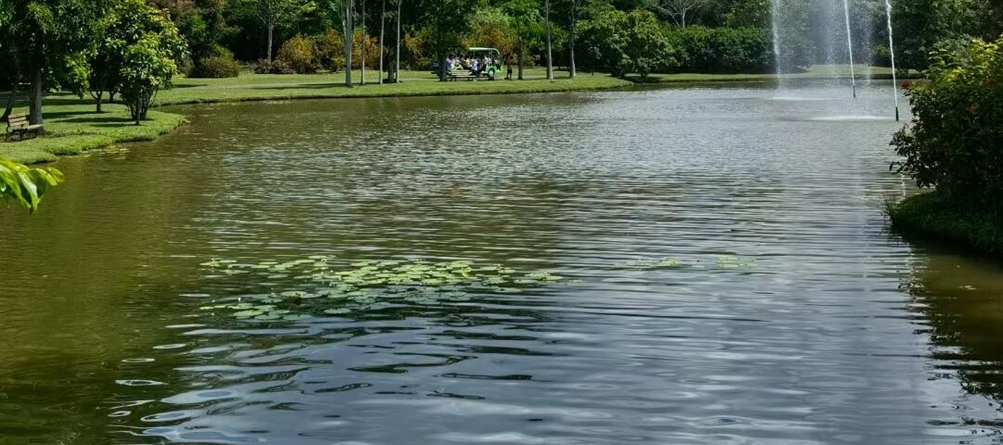 植物園藏著 “森系魔法空間”！藤蔓垂掛的 moss 球，搭配縹緲水霧，陽光穿林灑下，營造出空靈又治癒的氛圍。像踏入仙境角落，每一口呼吸都染著草木清香，隨手一拍，都是自帶濾鏡的森系大片