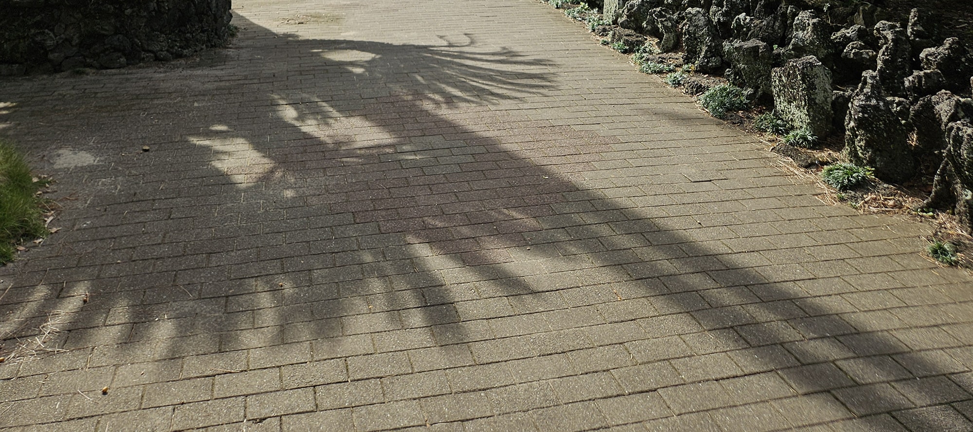 Hallim Park ticket in Jeju