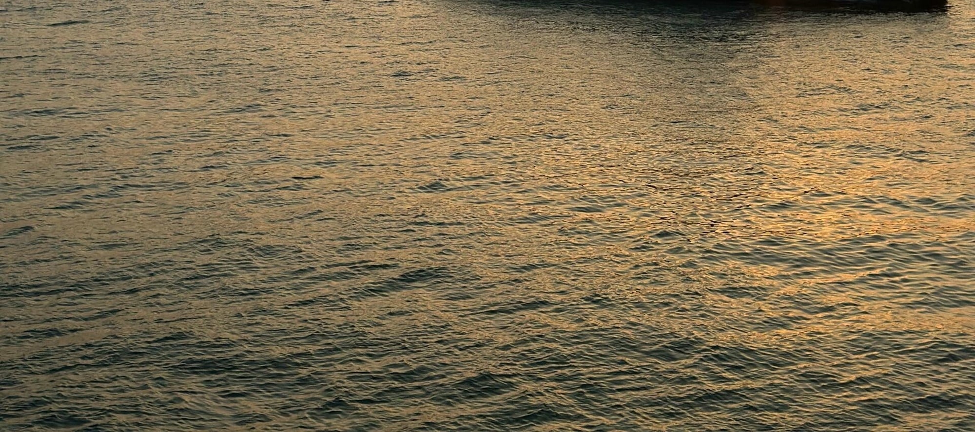 廣東慢遊深圳老友1日遊(大梅沙海濱公園+海濱棧道+地王大夏+“深港之窗”)