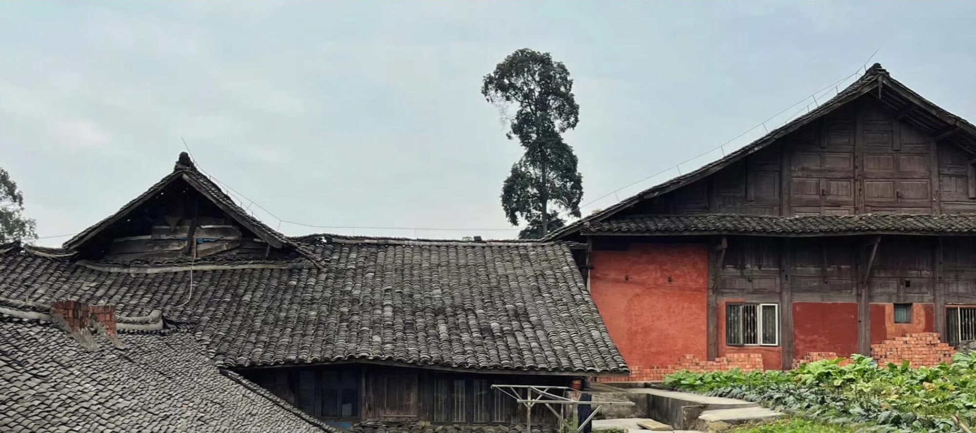 Explore the Chunyang Temple, walk through the ancient buildings, feel the passage of time in the smoke and fire, and start a spiritual journey of Zen