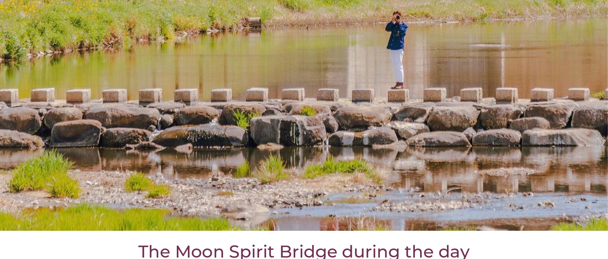 [From Daegu] Gyeongju UNESCO Day Tour: Bulguksa Temple, Cheomseongda