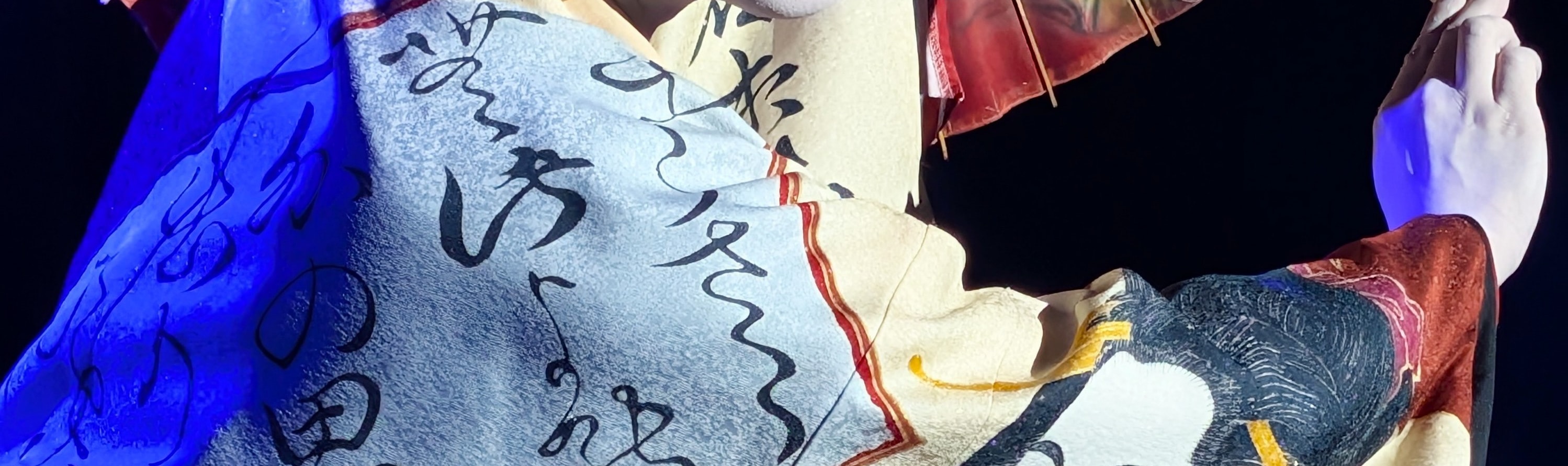 Tokyo Asakusa: Guided Japanese Cabaret Show (Taishu Engeki) - Thumbnail 27