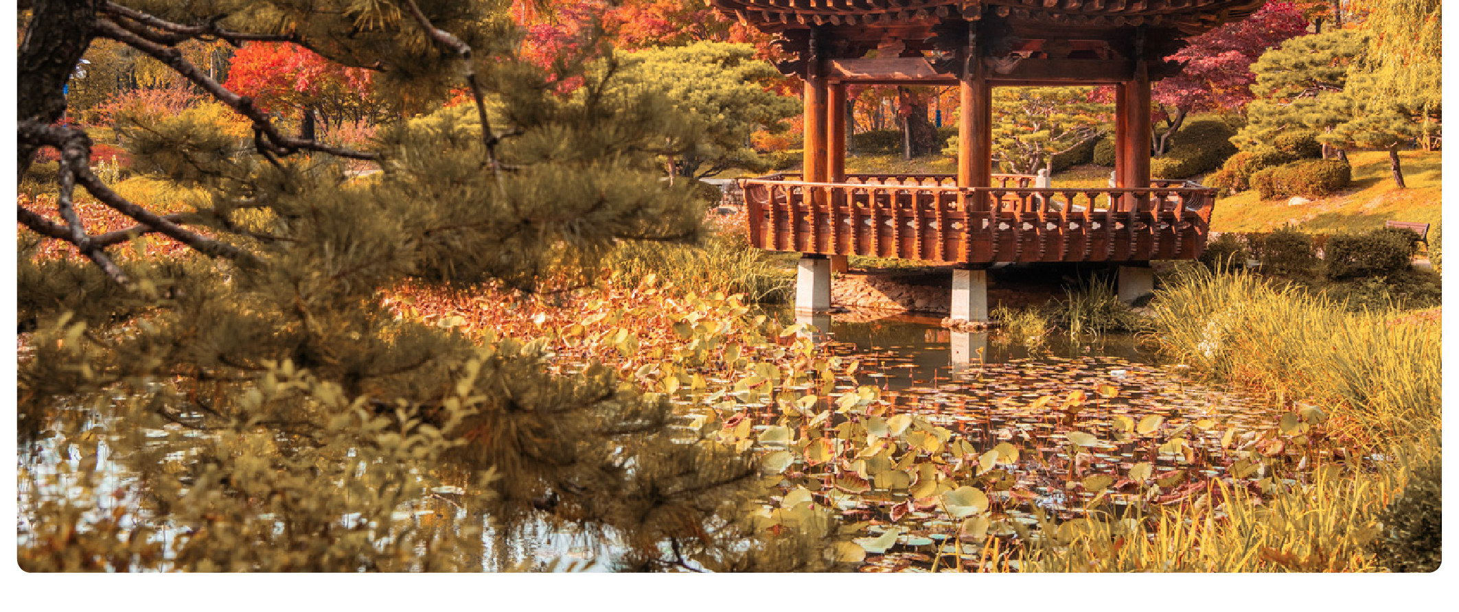 慶州賞楓一日遊（釜山出發）