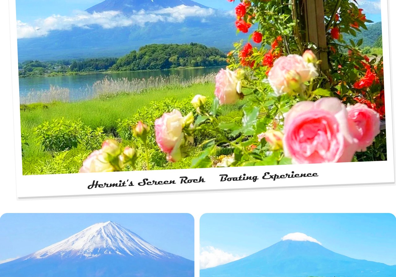 四季更迭的河口湖大石公園，春賞櫻、夏看薰衣草、秋觀掃帚草、冬望雪富士，處處皆是明信片般的絕景。