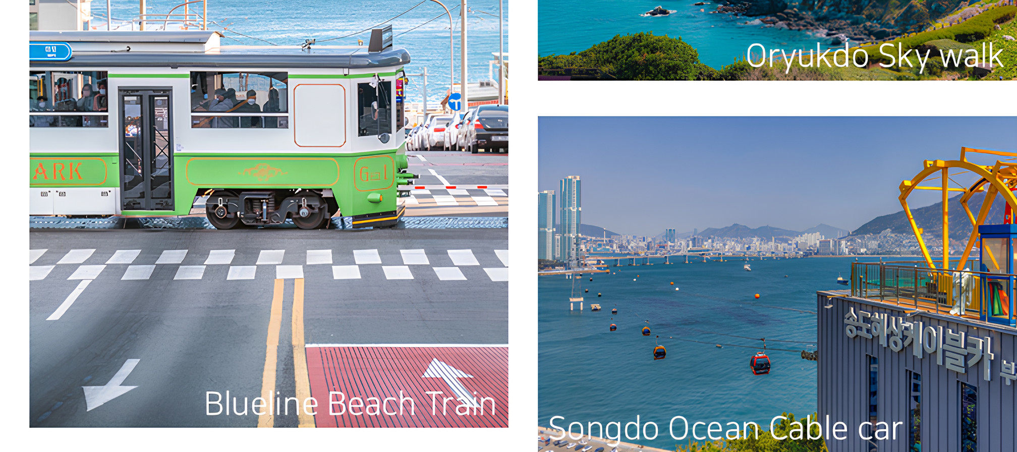 釜山 / 金海 / 慶州包車（含司機）