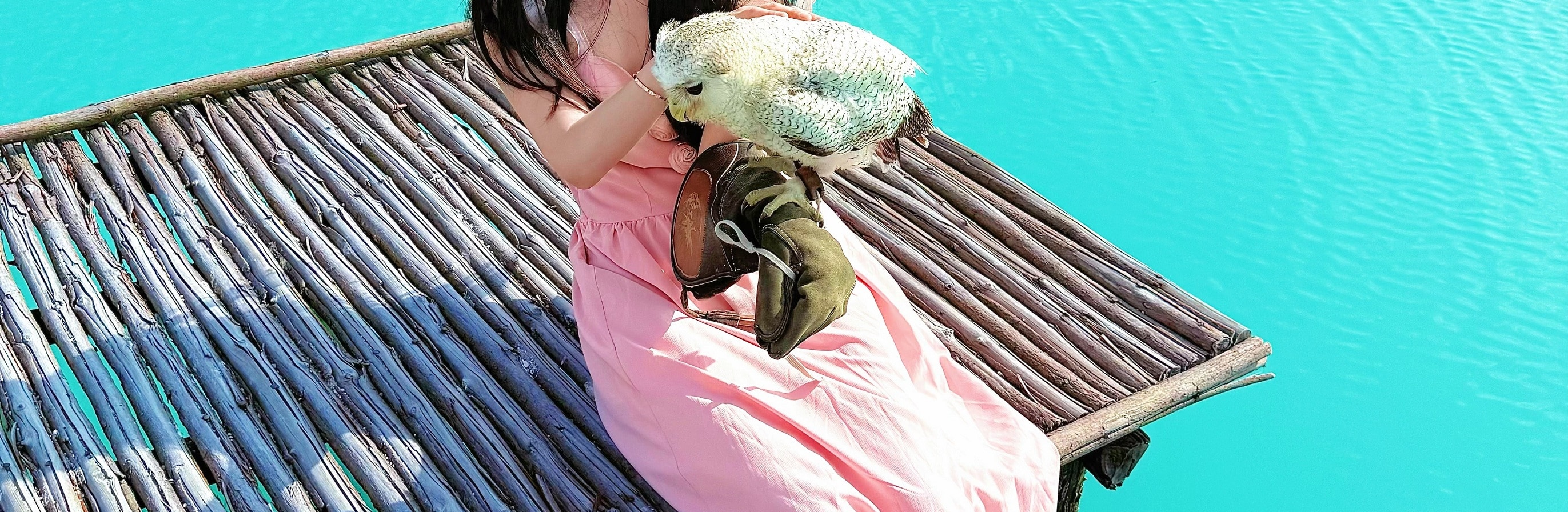 民丹島紅樹林 / 拉戈伊野生動物園 / 沙丘 & 藍湖 / 浮潛一日遊