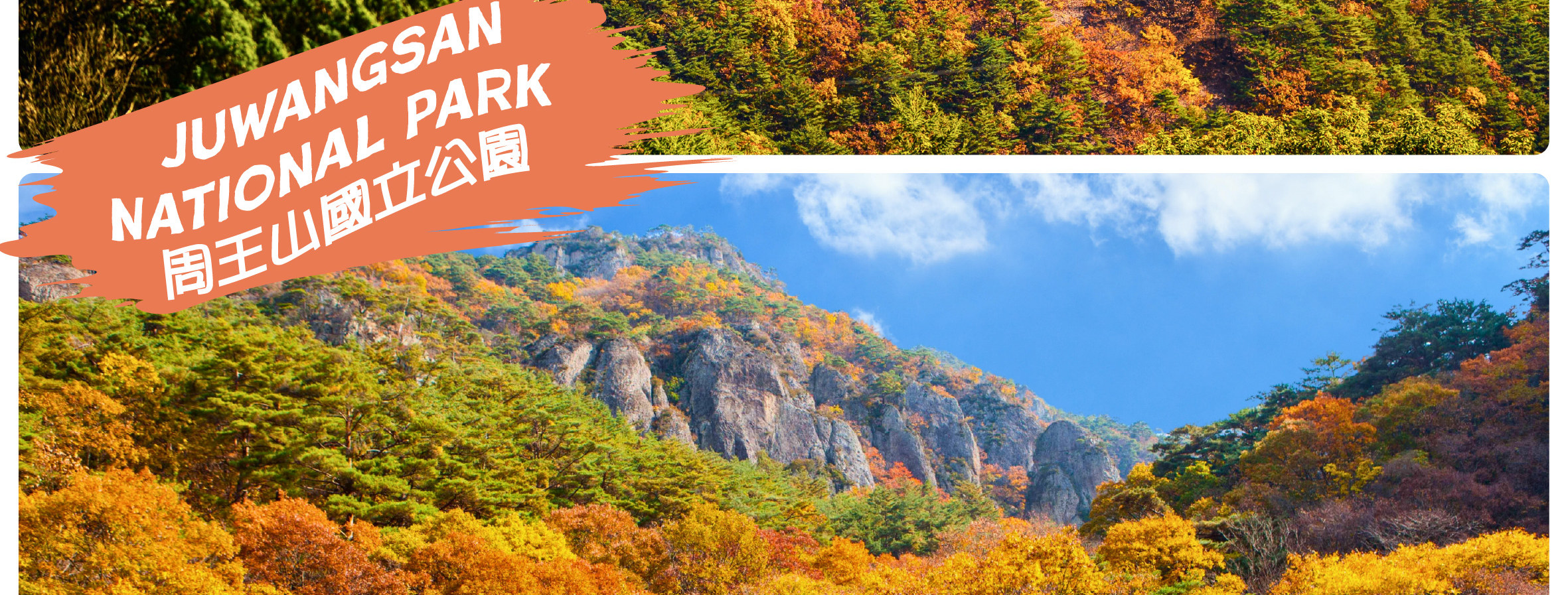 [秋季]周王山賞楓一日遊(釜山出发)	