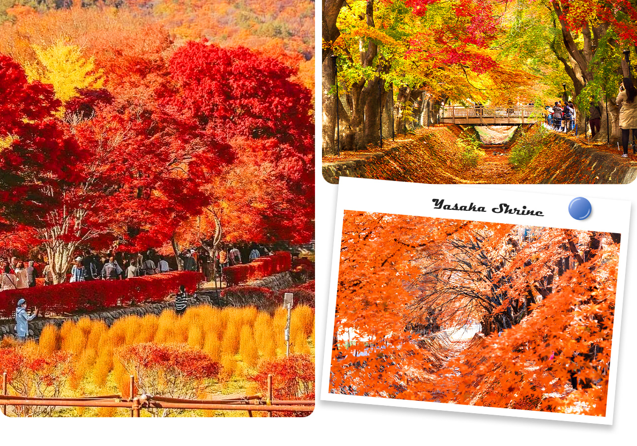 漫步在河口湖楓葉迴廊，紅葉鋪滿小徑，富士山倒映湖中，宛如步入一幅絢爛的秋日畫卷。