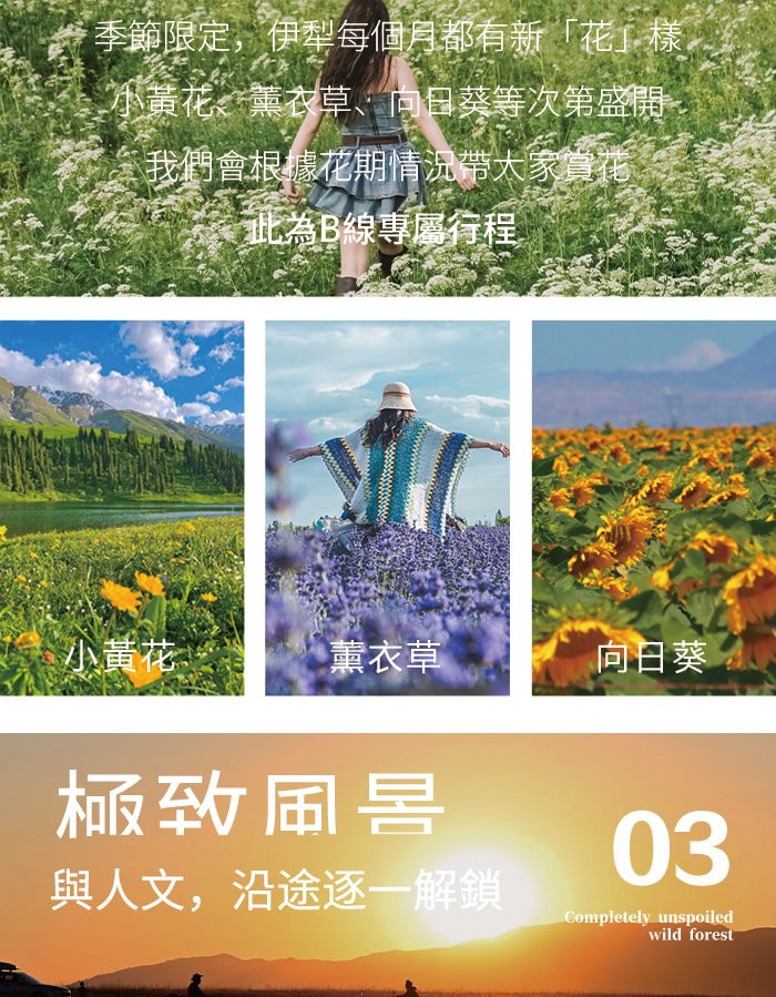 新疆伊犁漫山星野獨庫版8日（喀贊其旅拍+下午茶+S101 省道+獨山子大峽谷+賽里木湖+果子溝大橋+仙女湖牧馬+唐布拉草原）