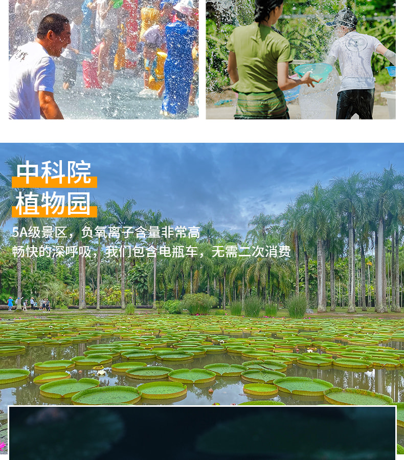 雲南版納往事6日（告莊夜市+傣族園+景邁山+中科院植物園+雨林徒步+野象谷+糯幹翁基古寨）