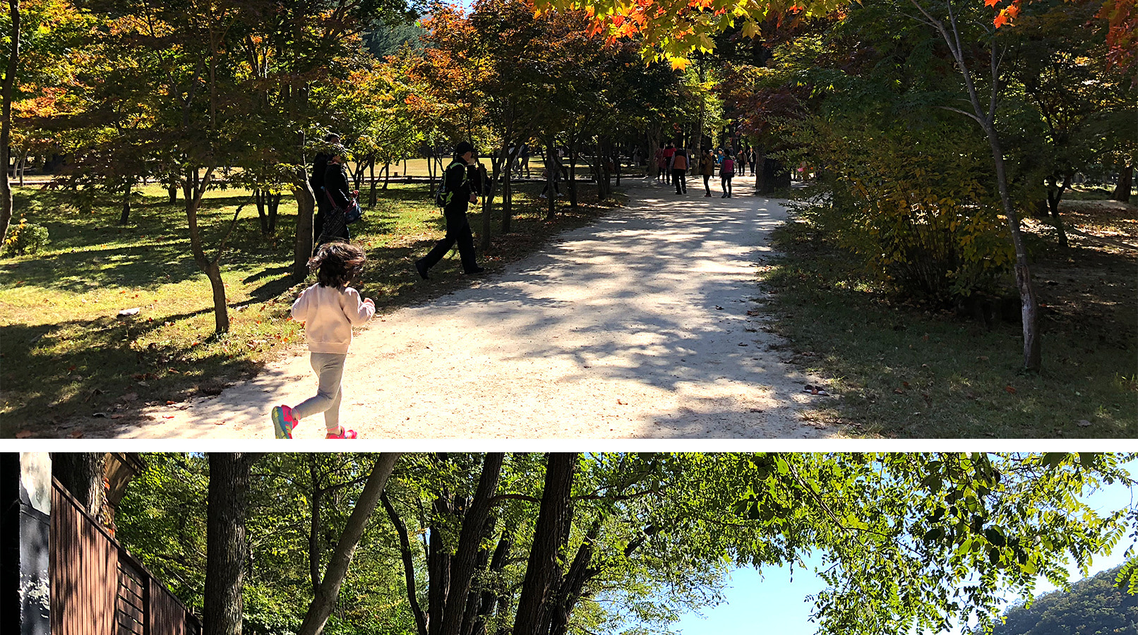 雪嶽山／纜車／草泥馬樂園／鐵道自行車／晨靜樹木園之旅