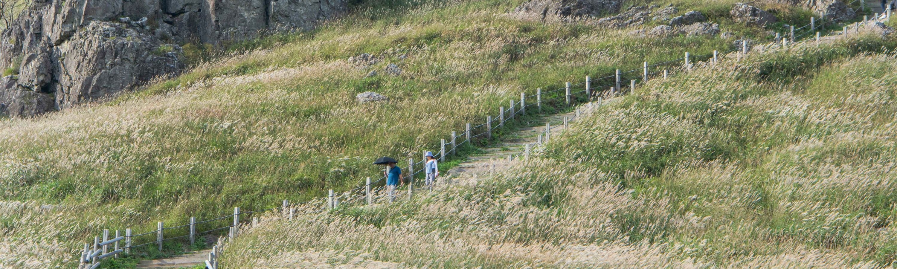 釜山 & 慶州一日遊（釜山出發）