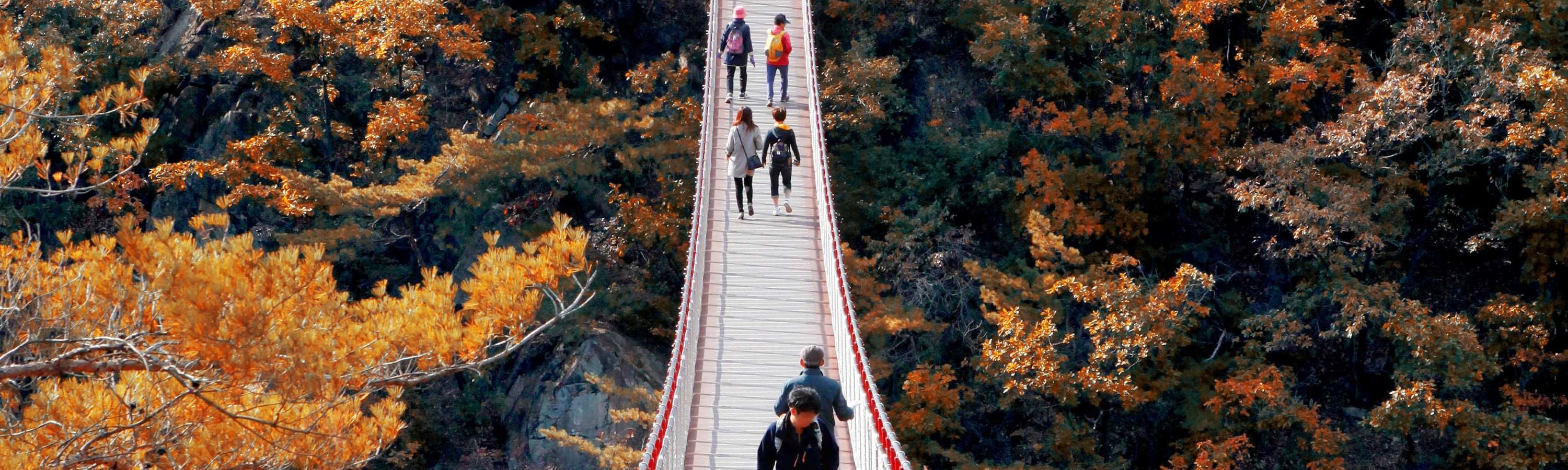 DMZ Tour with Local Specialty Liquor Tasting Courses
