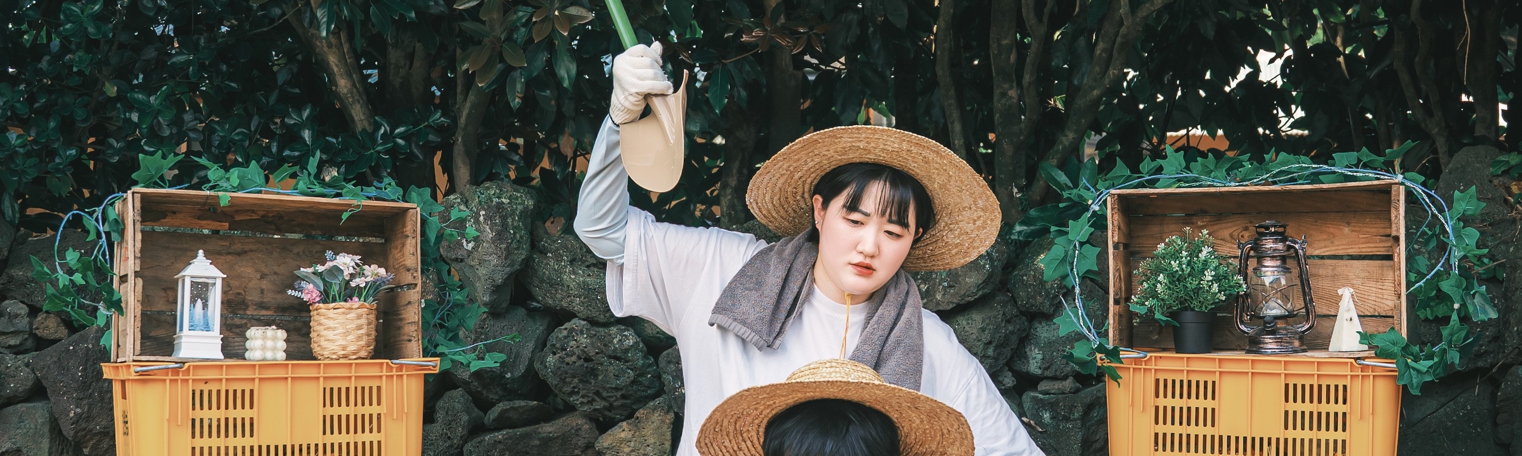 可愛迷人的柑橘園 可愛迷人的柑橘園