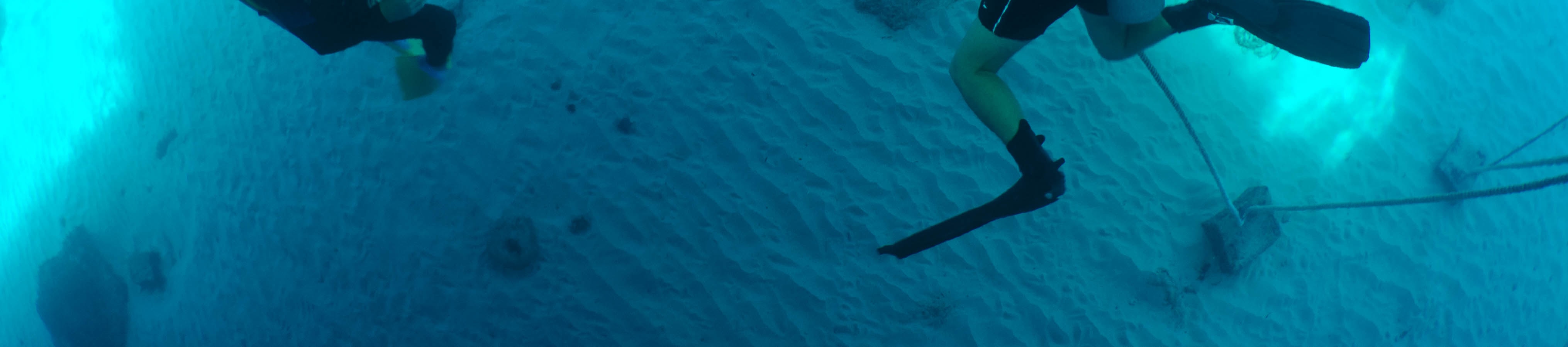 藍夢島水肺潛水體驗（PADI五星級潛水中心）