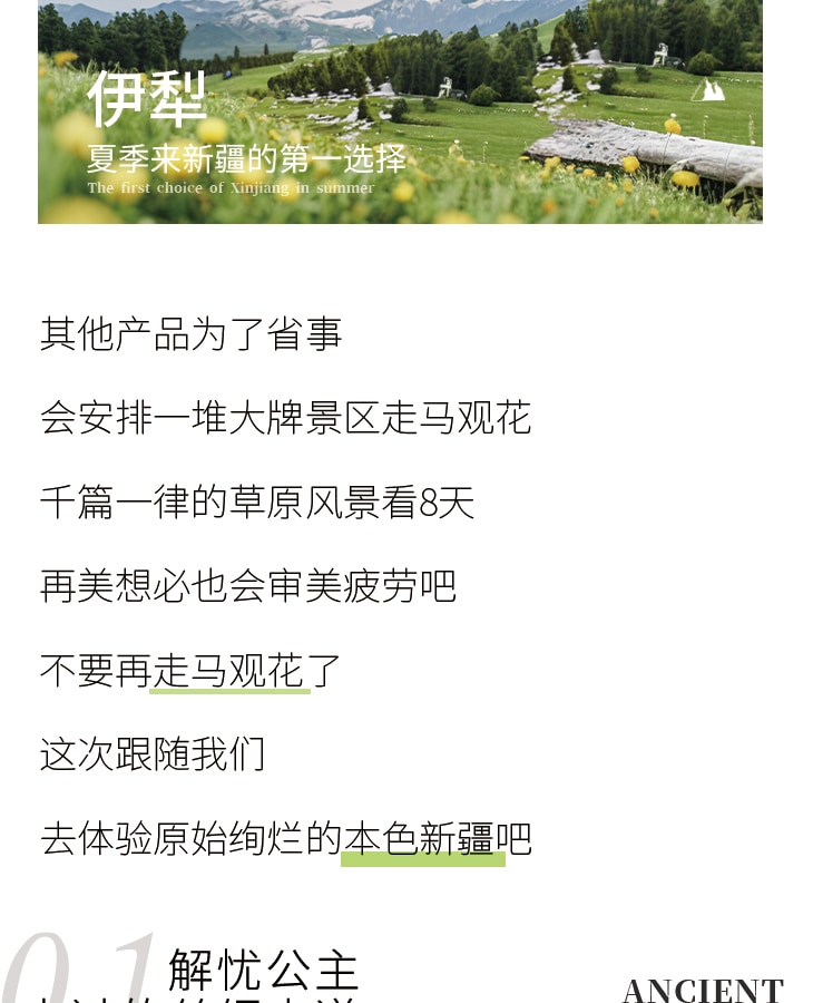 新疆伊犁縱貫天山五月版8日（全程旅拍攝影+全程坦克300出行+賽里木湖+安集海大峽谷+喀拉峻+恰西+那拉提+喀贊其+S101國防公路)