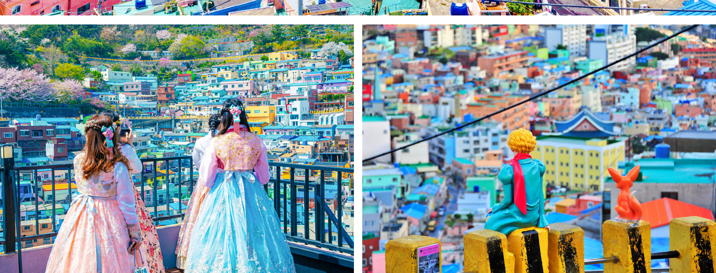 探索釜山標誌性的甘川文化村充滿活力的街頭藝術和柔和色彩的房屋。 探索釜山標誌性的甘川文化村充滿活力的街頭藝術和柔和色彩的房屋。