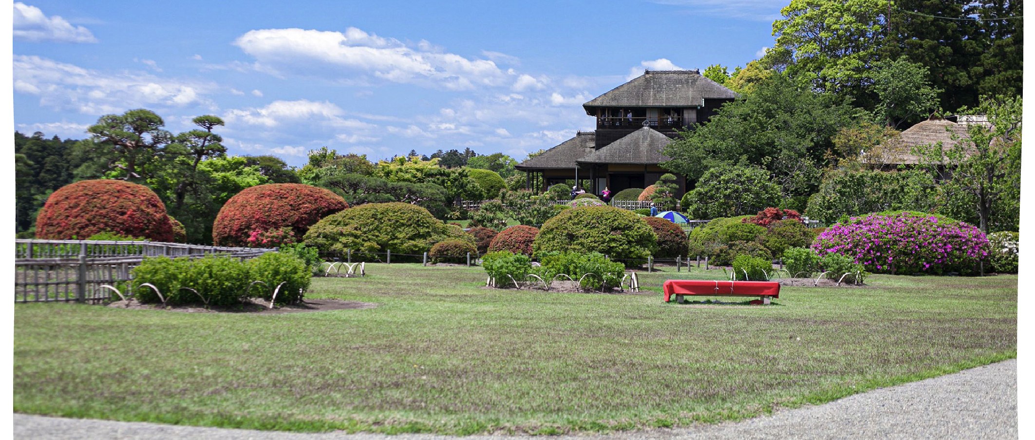季節限定: 國營常陸海濱公園 & 足利花卉公園一日遊 (東京出發)