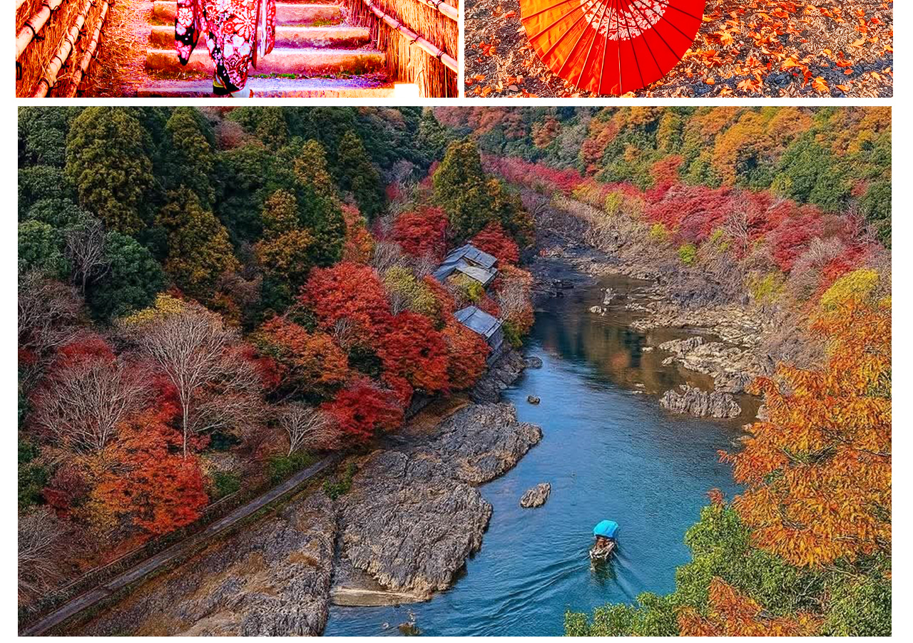 Nara Deer & Fushimi Inari-taisha Shrine & Arashiyama Day Trip (Departing from Osaka) - Thumbnail 11