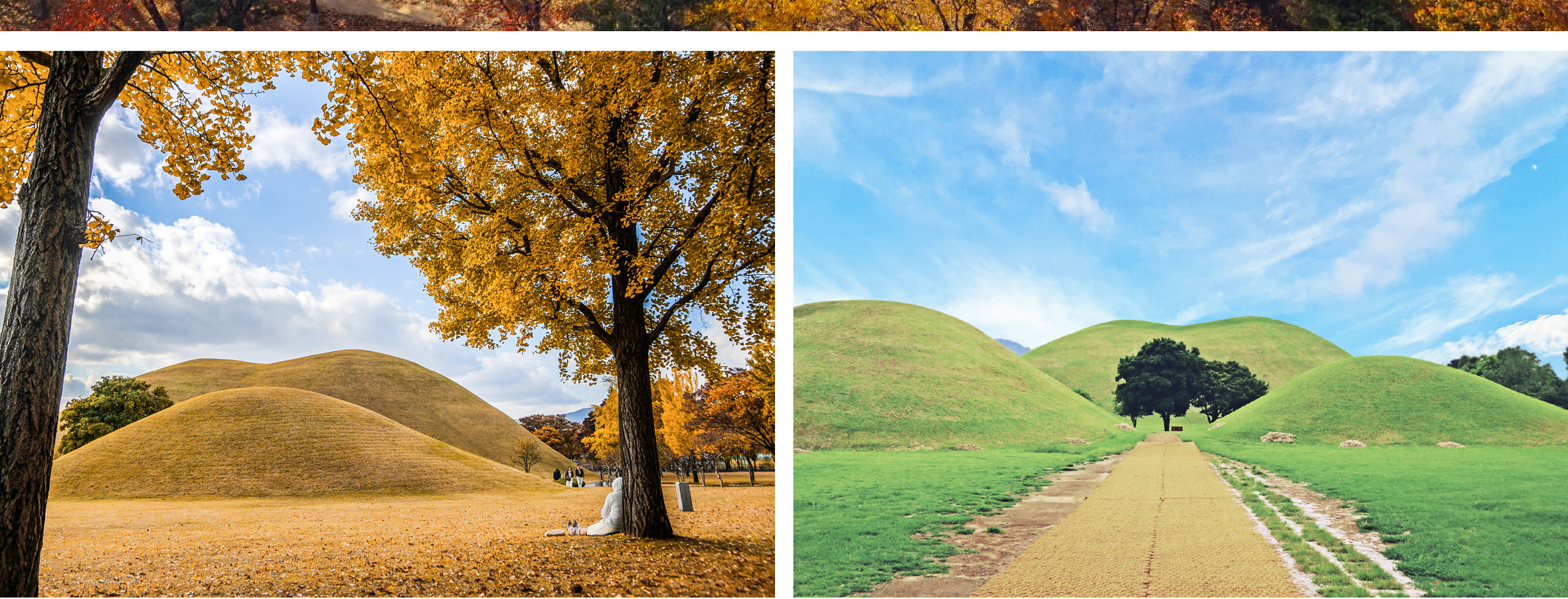 慶州大陵苑，又稱王陵公園，是一處包含23座新羅王朝時期建造的陵墓群。