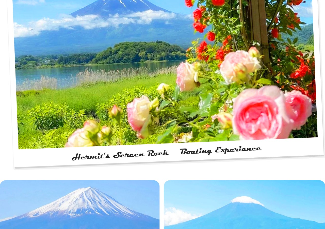 河口湖大石公園四季皆美，春賞櫻花、夏觀薰衣草、秋覽紅葉、冬看雪景，遠眺富士山盡收眼底。