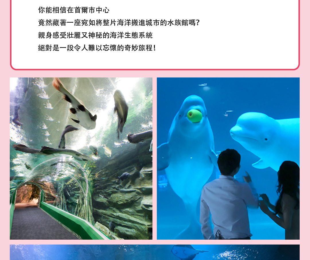 樂天世界深度體驗之旅