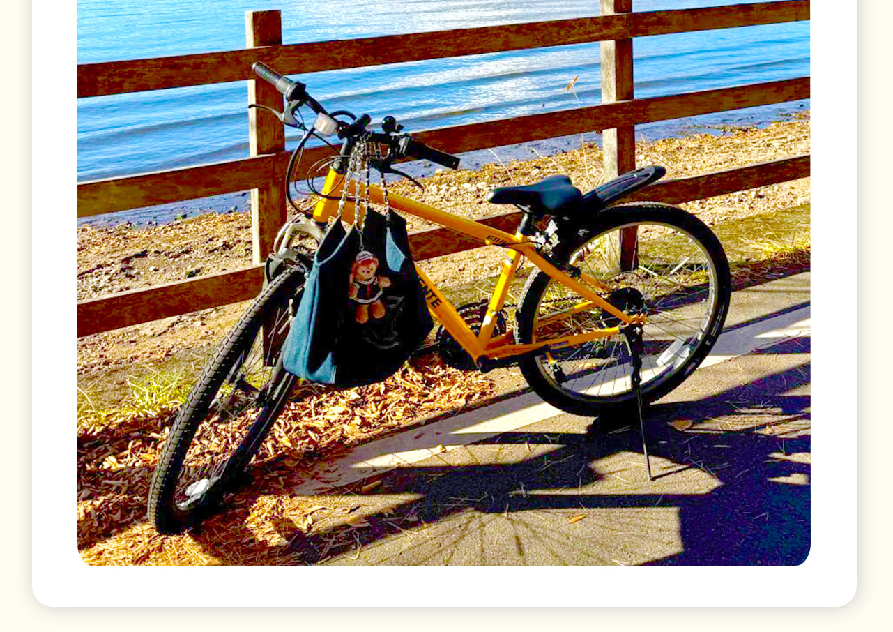 【Mount Fuji Cycling, Matcha Experience, Hot Spring Deep Two-Day Tour】Kawaguchiko & Matcha Experience & Cable Car & Hot Spring & Yamanakako Cycling & Oshino Hakkai & Arakurayama Sengen Park Deep Two-Day Tour