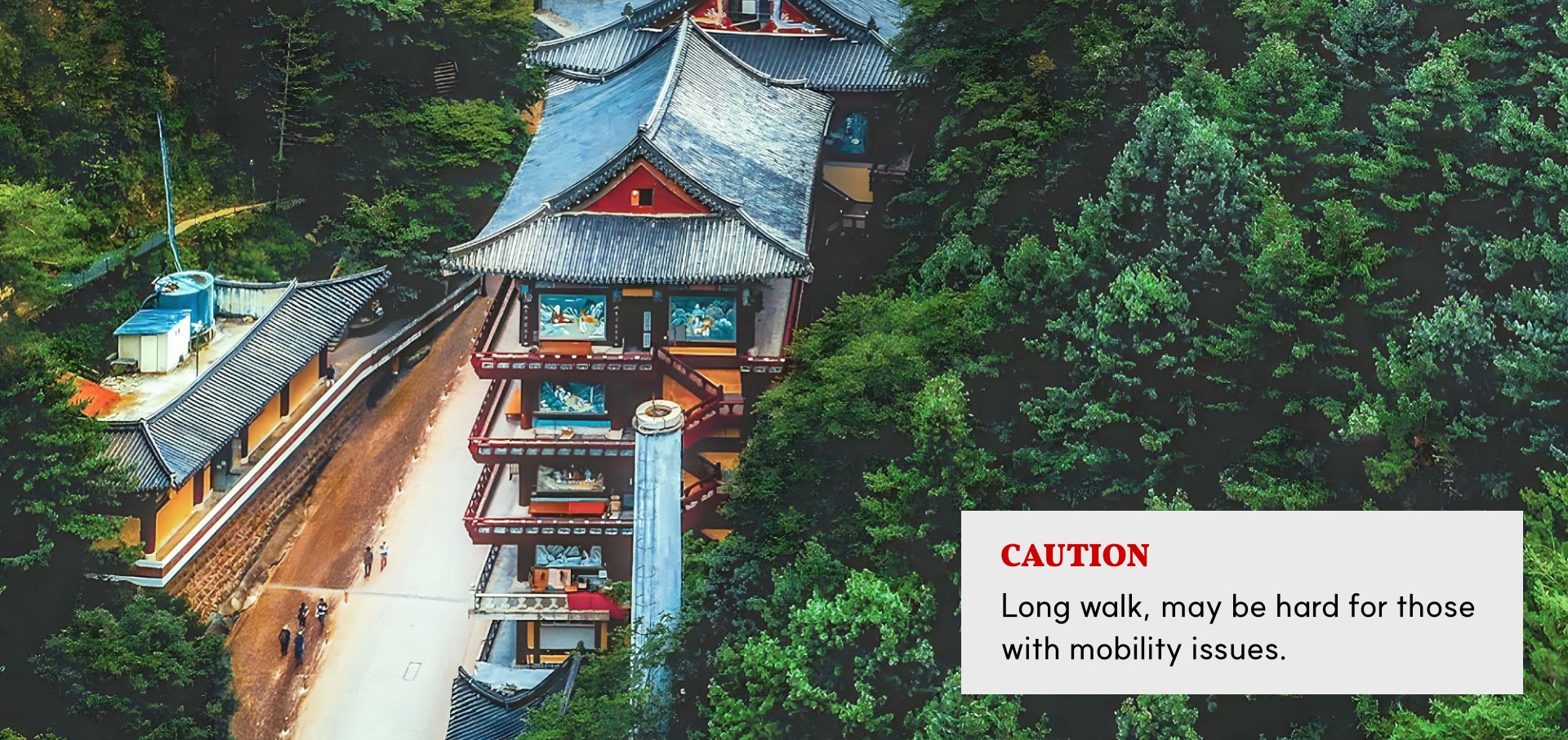 求仁寺以其令人驚嘆的建築和寧靜的氛圍而聞名，是韓國最大的佛教寺廟之一。🏯✨