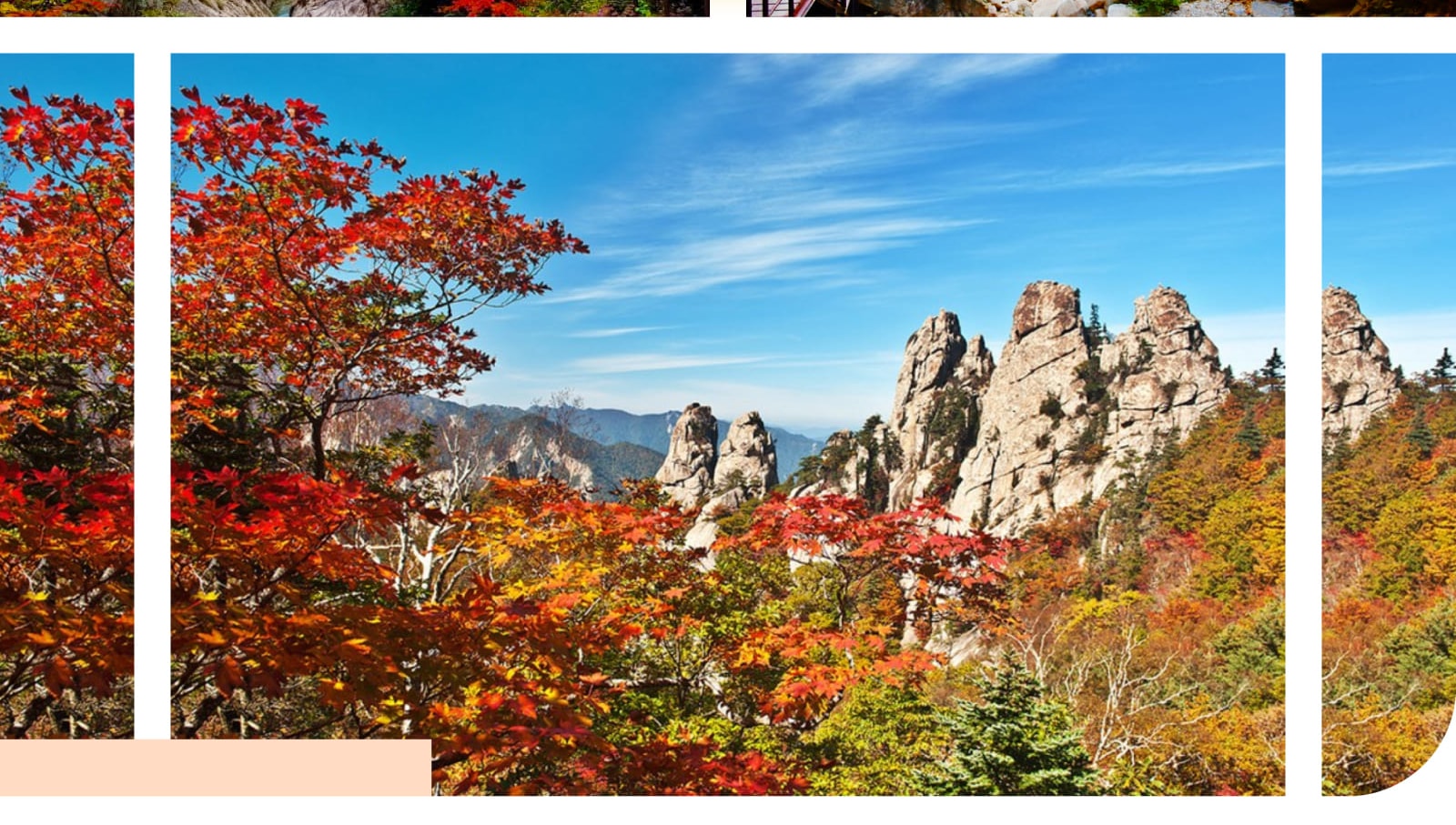讚嘆韓國最具代表性的楓葉美景——探索雪嶽山國家公園 (Seoraksan National Park) 如火般鮮紅的樹葉,這可是韓國的國寶級景點。 讚嘆韓國最具代表性的楓葉美景——探索雪嶽山國家公園 (Seoraksan National Park) 如火般鮮紅的樹葉,這可是韓國的國寶級景點。