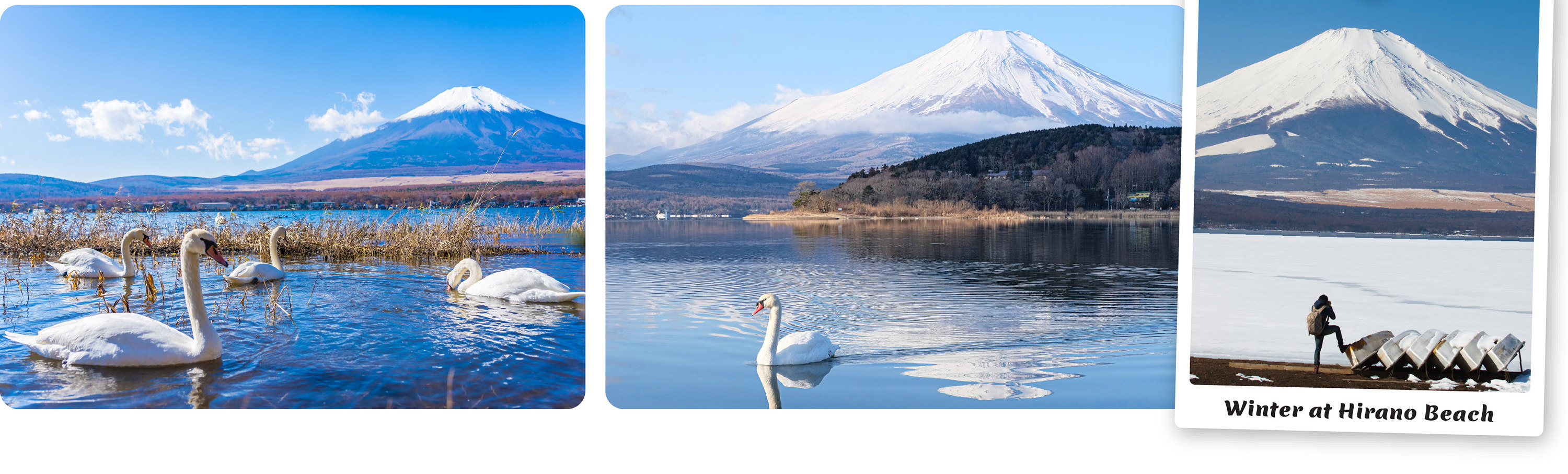 富士山 & 箱根精華遊: 山中湖/忍野八海/新倉山淺間公園/大石公園/羅森打卡/大涌谷/大淵笹場/雕刻之森美術館 (中/英/韓語導遊)