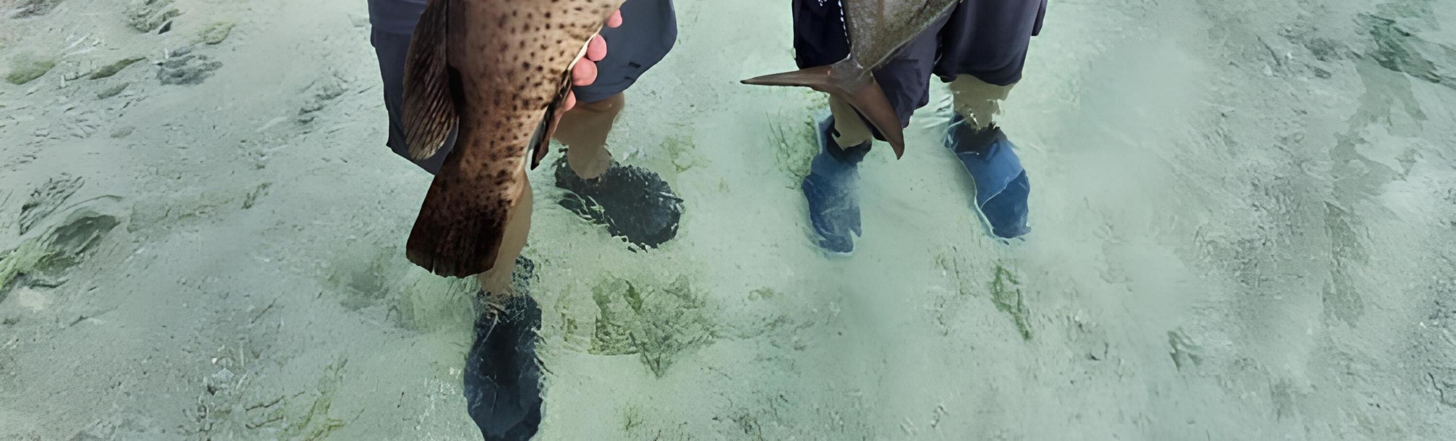 Fishing Trip from Gili Islands