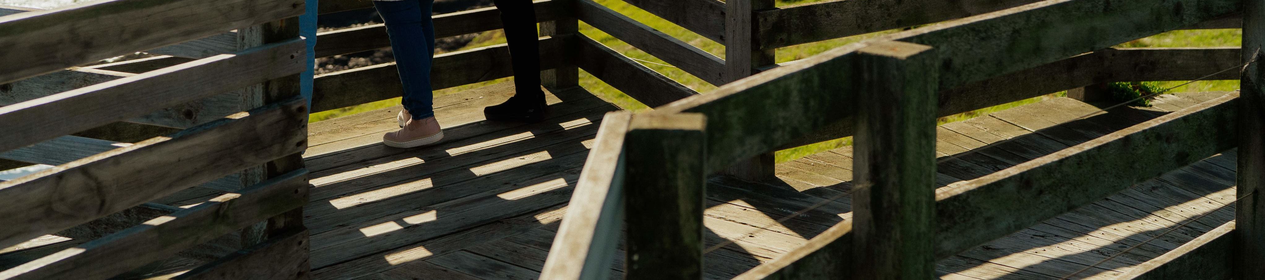 諾比司中心木棧道 諾比司中心木棧道