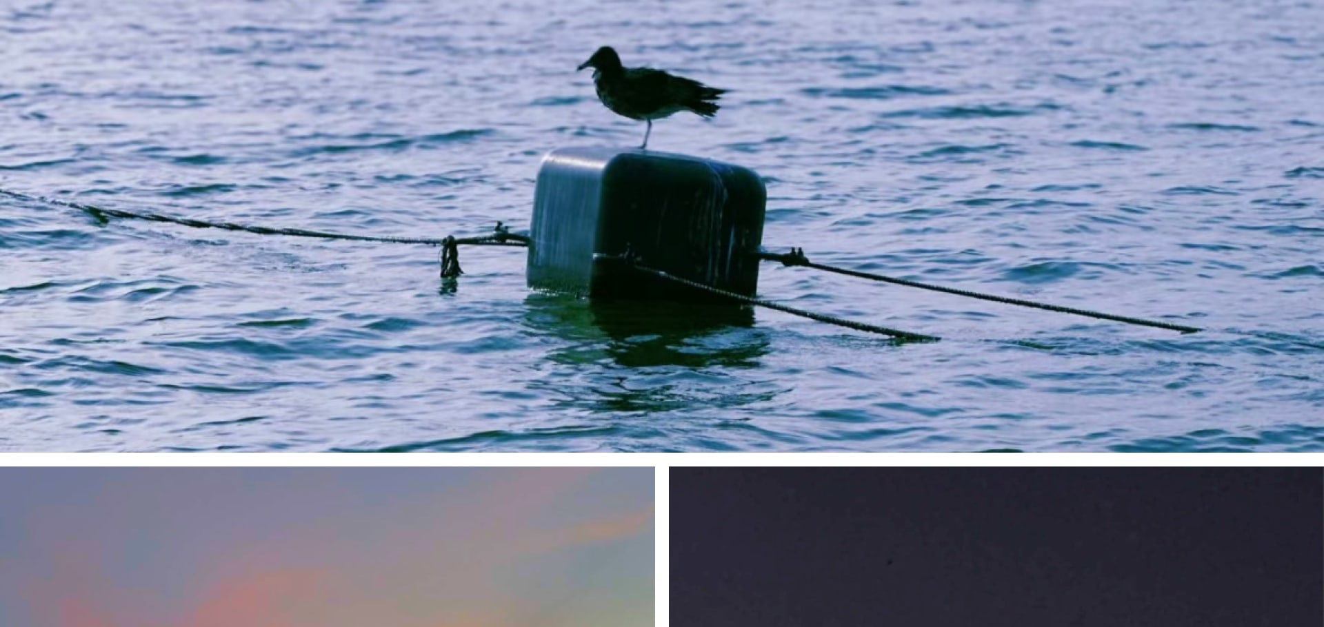 汝矣島漢江公園擁有迷人的夜景，閃爍的城市燈光與平靜的漢江交相輝映。
