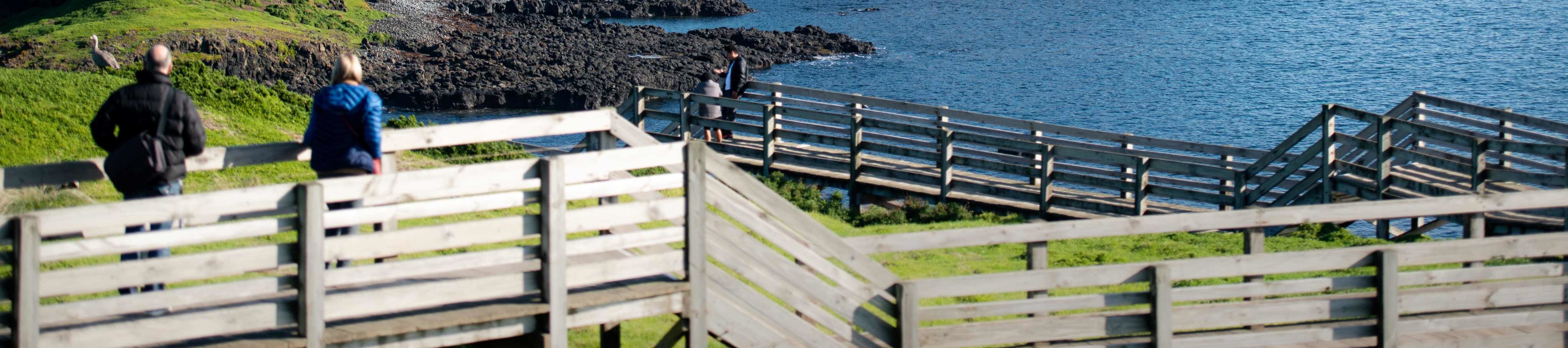 諾比司中心 諾比司中心